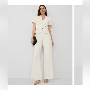 NWT Ann Taylor Side Zip Wide Leg Pant in Fluid Crepe, sz 12